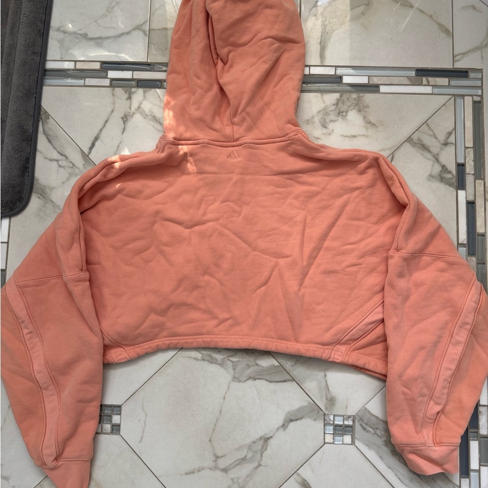 IVY PARK Dusty Rose Hooded Cropped Sweatshirt & Joggers - Picture 11 of 12